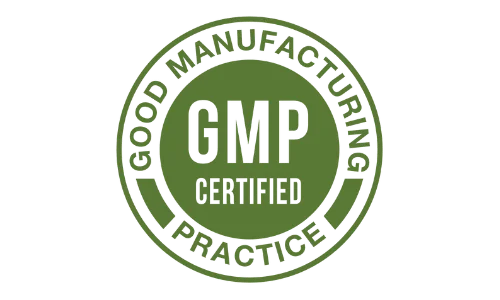 GMP certified probiotic supplement ensuring top quality and consistency